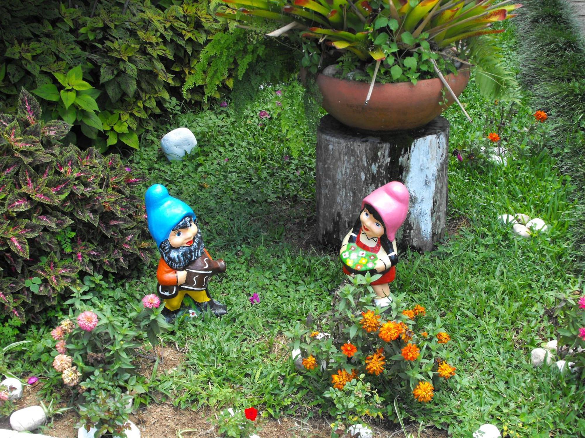 Pousada Cascata Dos Amores Teresópolis Esterno foto